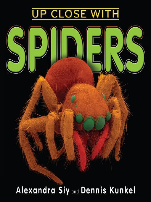 Cover image for Up Close With Spiders